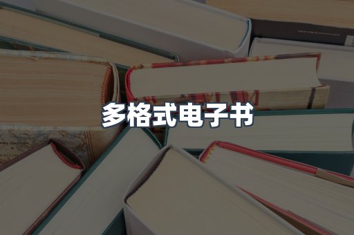 多格式电子书